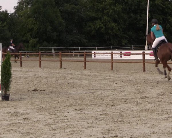 Reitturnier Wietmarschen 2019