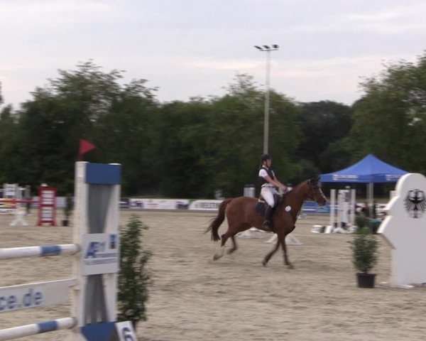 Reitturnier Wietmarschen 2019