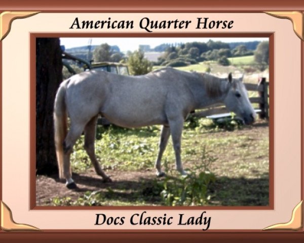 broodmare DOCS CLASSIC LADY (Quarter Horse, 1985, from Doc O Lon)