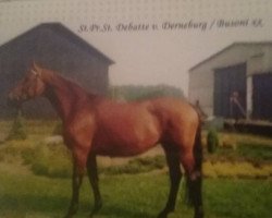 broodmare Debatte (Hanoverian, 1979, from Derneburg)