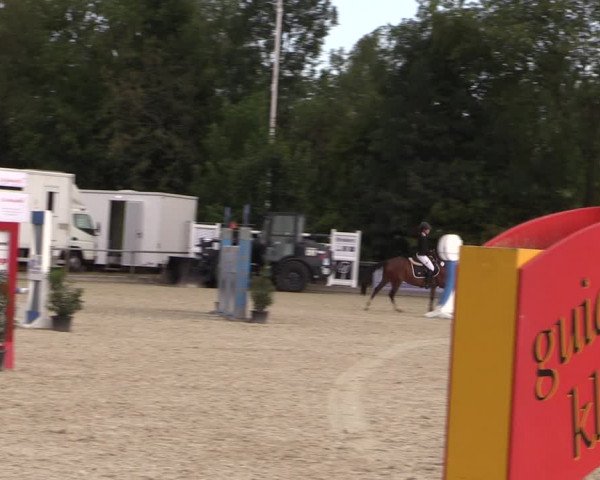 Reitturnier Wietmarschen 2019