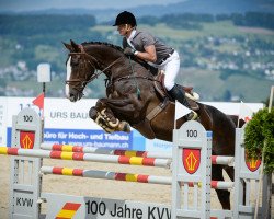 broodmare Scarlina II (Hanoverian, 2004, from Stolzenberg)