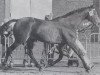 stallion Biskrah xx (Thoroughbred, 1967, from Charlottesville xx)