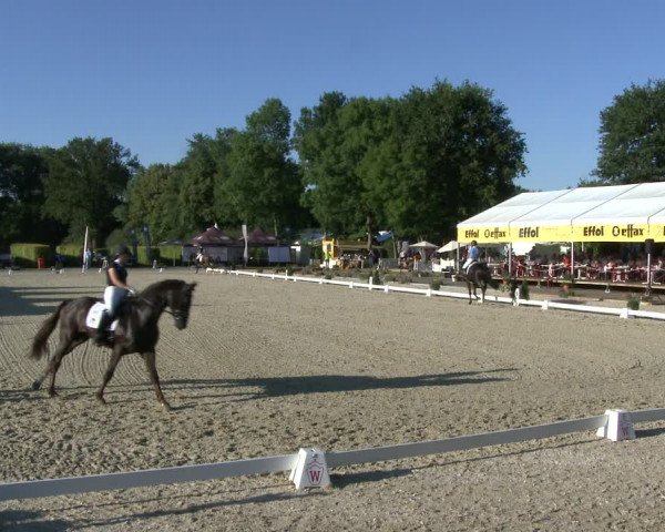 Westfalen-Woche 2019