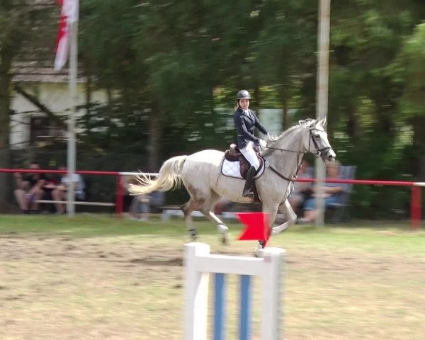 Reitturnier Boock 2019