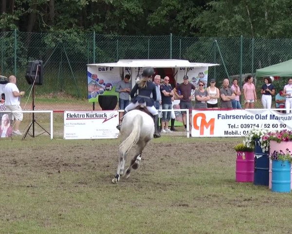 Reitturnier Boock 2019
