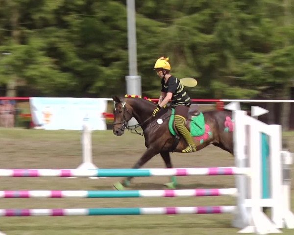 Reitturnier Boock 2019