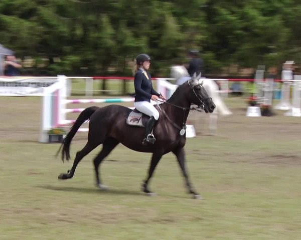 Reitturnier Boock 2019