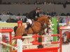 jumper Sacramento (Danish Warmblood, 2000, from Leendert)