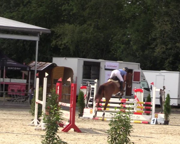 Reitturnier Wietmarschen 2019