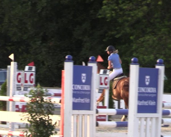 Reitturnier Wietmarschen 2019