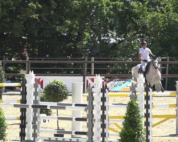 Reitturnier Bättwil 2019