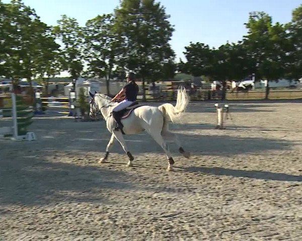 Reitturnier Rot am See- Musdorf 2019