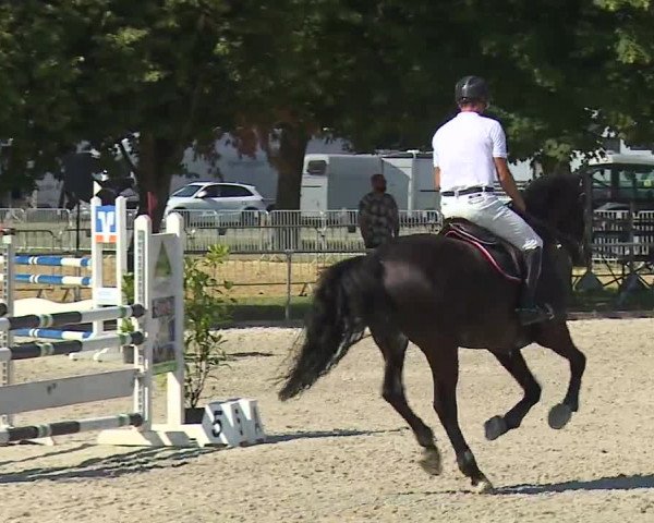 Reitturnier Rot am See- Musdorf 2019