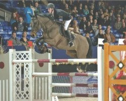 Springpferd Enjoy (Belgisches Warmblut, 2004, von Clinton)