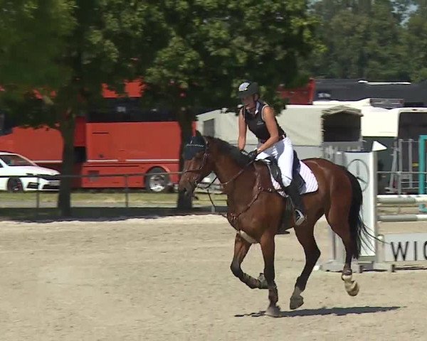 Reitturnier Rot am See- Musdorf 2019