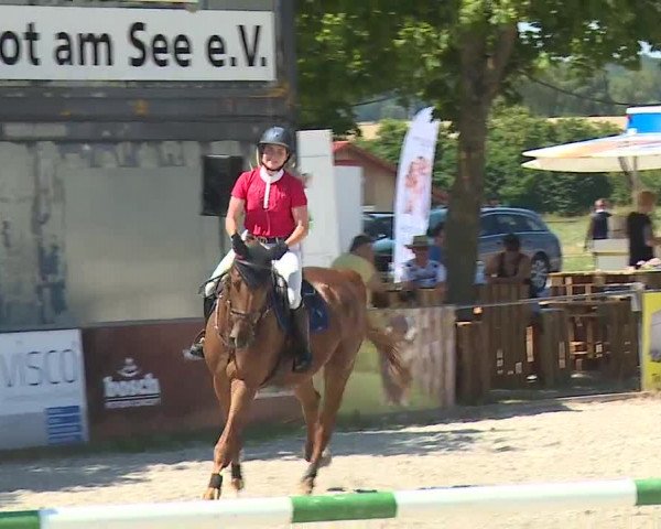 Reitturnier Rot am See- Musdorf 2019