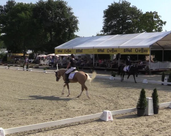 Westfalen-Woche 2019