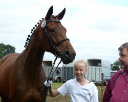 broodmare Sarafina (Hanoverian, 2009, from Scolari)