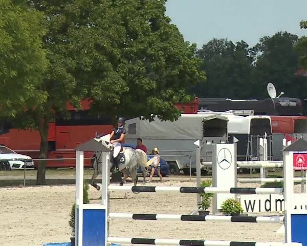 Reitturnier Rot am See- Musdorf 2019