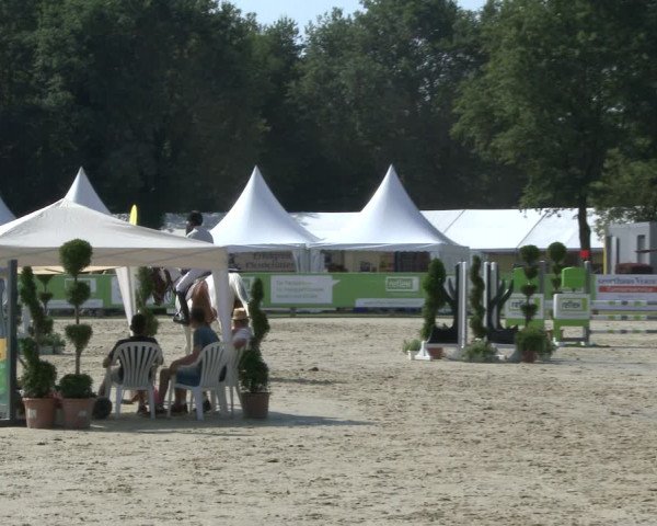 Westfalen-Woche 2019