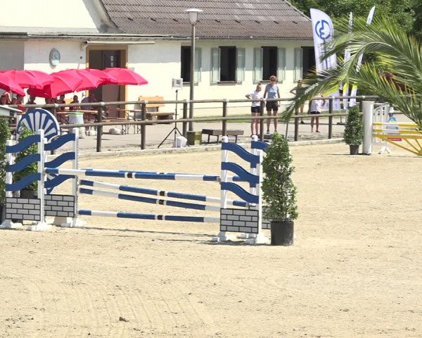 Reitturnier Bättwil 2019