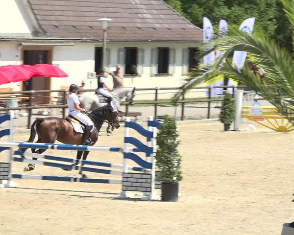 Reitturnier Bättwil 2019