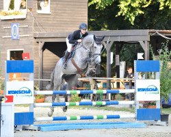 jumper Pep Le Grand (Oldenburg show jumper, 2010, from Cassini II)