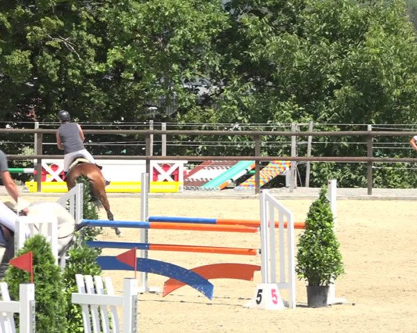 Reitturnier Bättwil 2019