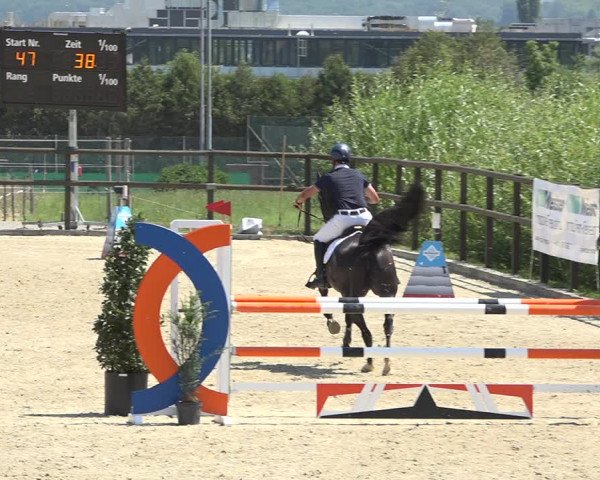 Reitturnier Bättwil 2019