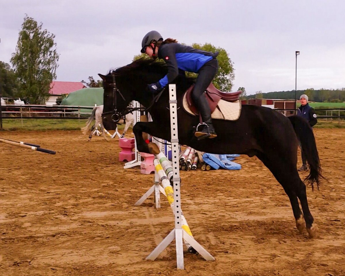 jumper Ajax 88 (unknown, 2000)