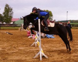 Springpferd Ajax 88 (unbekannt, 2000)