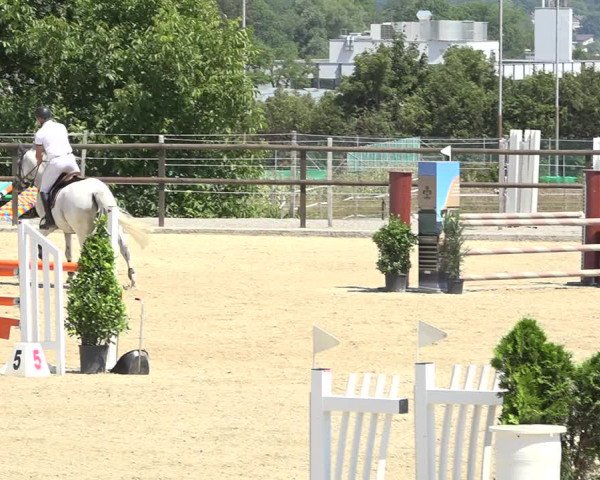 Reitturnier Bättwil 2019