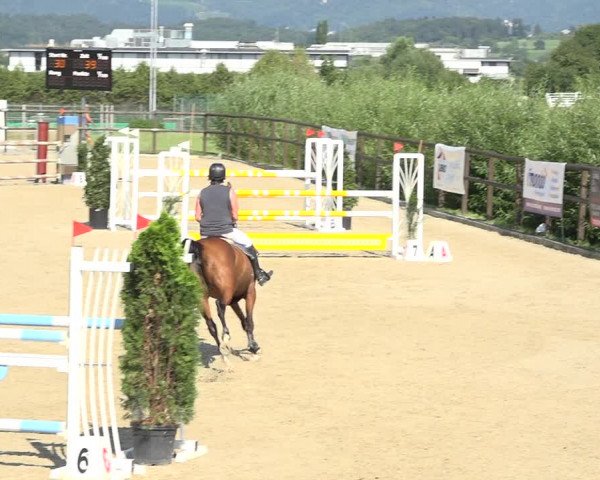 Reitturnier Bättwil 2019