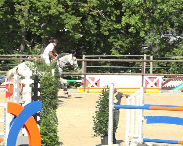 Reitturnier Bättwil 2019