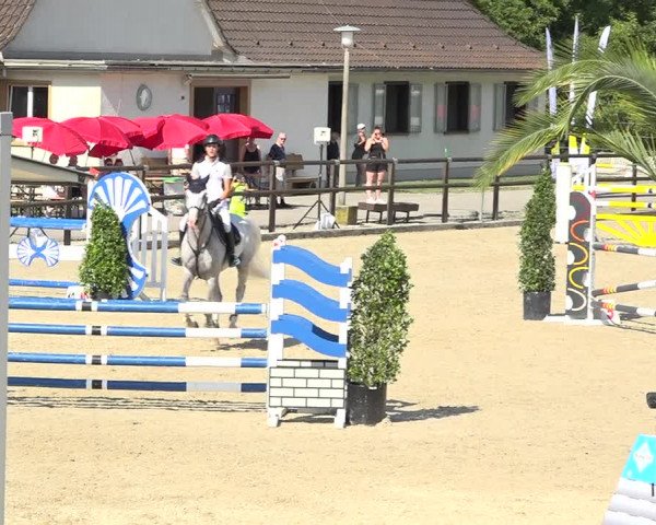 Reitturnier Bättwil 2019