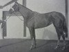 broodmare Noblesse xx (Thoroughbred, 1960, from Mossborough xx)