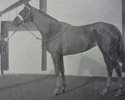 broodmare Noblesse xx (Thoroughbred, 1960, from Mossborough xx)