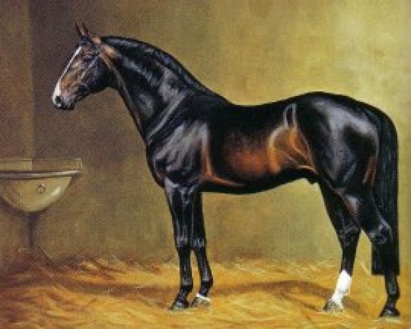 stallion Ramiro Z (Holsteiner, 1965, from Raimond)