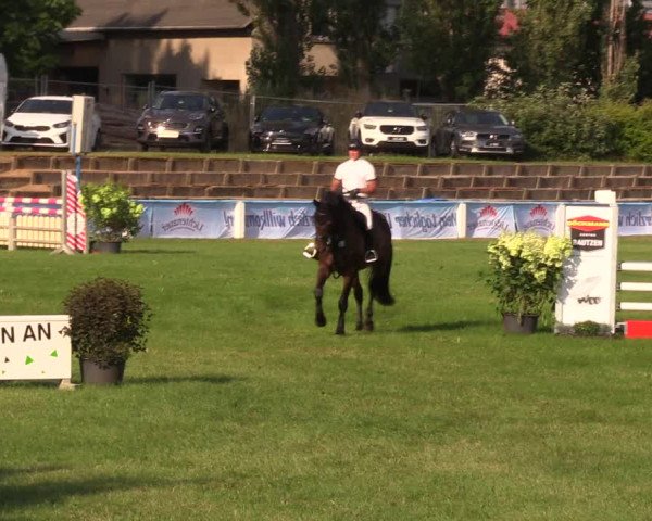 Reitturnier Baschütz bei Bautzen 2019