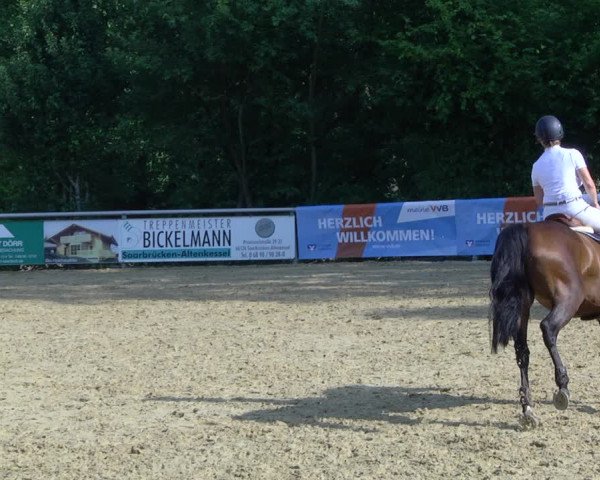 Reitturnier Püttlingen 2019