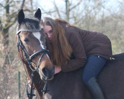 broodmare Tara 56 (German Riding Pony, 1992, from Rosedale Tiberius)