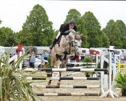 jumper Unox 4 (German Sport Horse, 2010, from Ustinov)