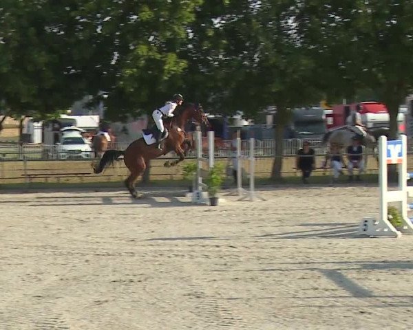 Reitturnier Rot am See- Musdorf 2019