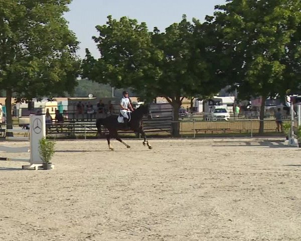 Reitturnier Rot am See- Musdorf 2019