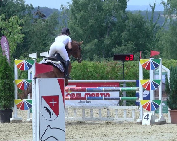 Reitturnier Püttlingen 2019
