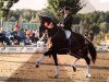 dressage horse Forint 8 (Trakehner, 2001, from Tannenhof’s Solero TSF)