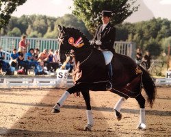 dressage horse Forint 8 (Trakehner, 2001, from Tannenhof’s Solero TSF)