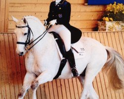 Pferd Marc Antonius (Trakehner, 1990, von Arrak)