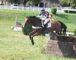 jumper Victoryhope Treille (Selle Français, 2009, from Epsom Gesmeray)